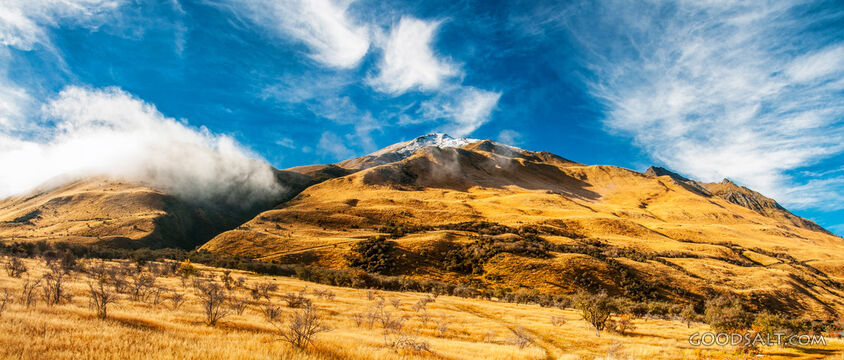 Steep grassy hillside in morning mist.