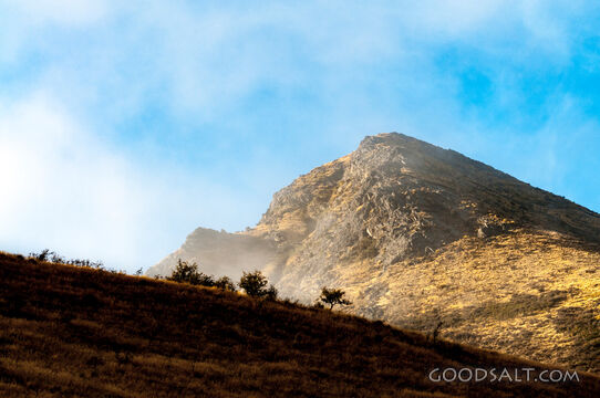 Steep grassy hillside in morning mist.