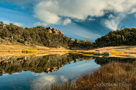 Still waters of lake reflect undergrowth and trees on other side.