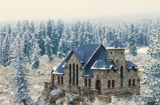 Stone Church Surounded by Trees in the Snow