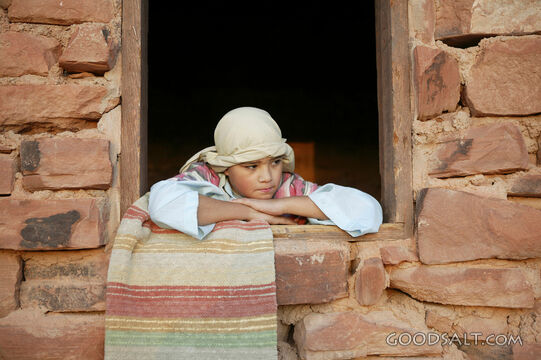 A young child looking through a window.