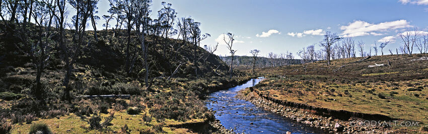 Stream Moving Through Hill With Trees