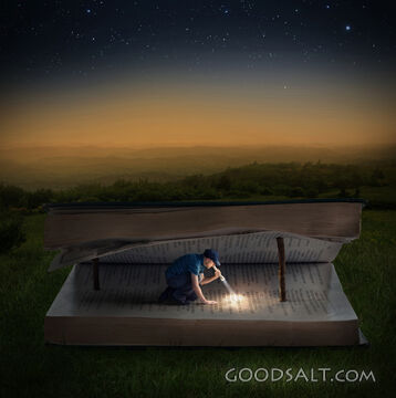 Studying the Bible at Night
