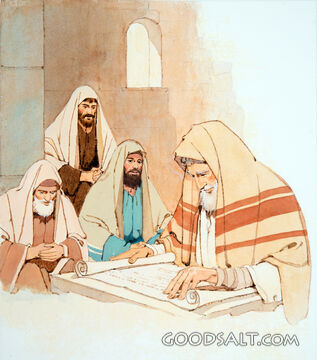 Studying the Scriptures