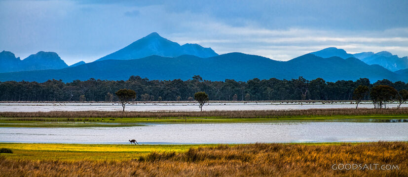 stunning country scenery with trees in fields and distant rocky mountain range.