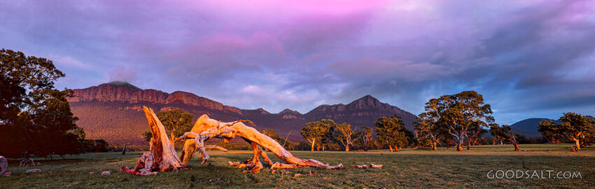 stunning country scenery with trees in fields and distant rocky mountain range.