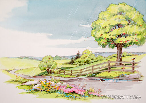Summer Rain