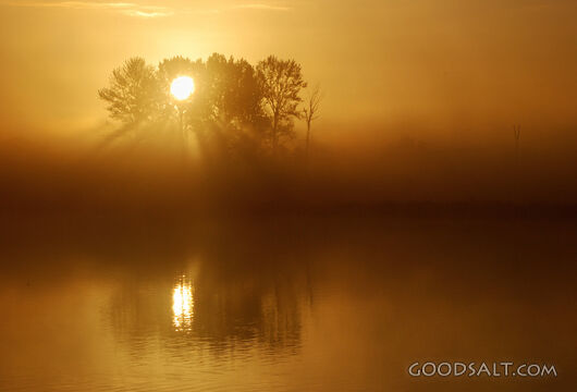 Sunrise God Rays at Fernhill