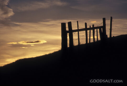 silhouetted barbed wire fence on hillside