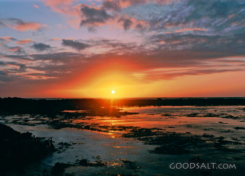 Sunset at Beach