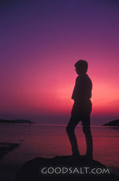 Stillness at the Shore