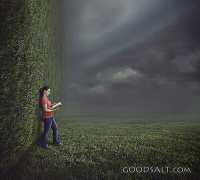 Surreal Background With Woman Reading
