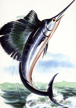 Swordfish