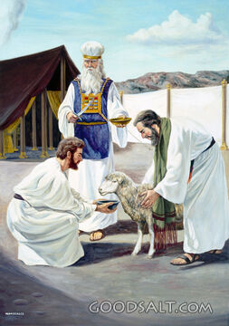 Tabernacle Sacrifice