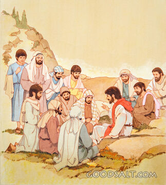 Teaching the Twelve