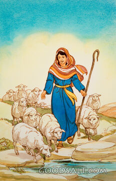 Tending the FLock