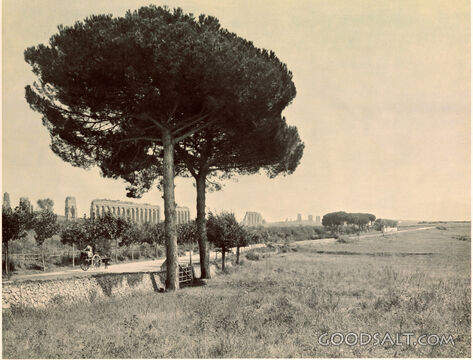 The Appian Way