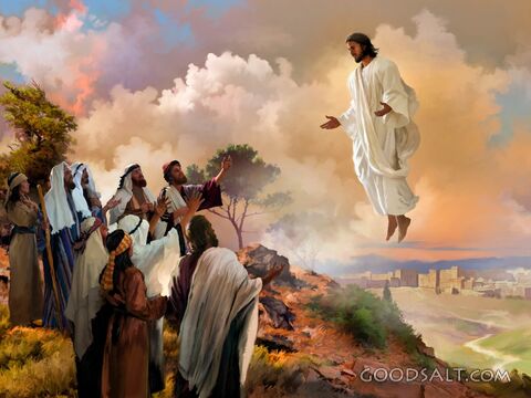 The Ascension