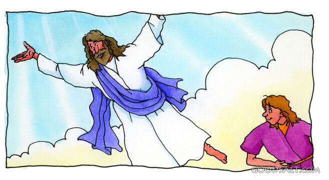 The Ascension