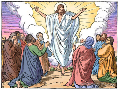 The Ascension