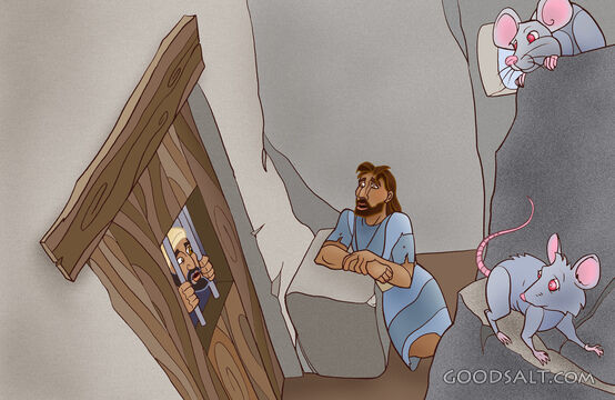 The Baptist 6