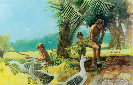 The Beginning, Working the Earth - Adam, Cain and Abel