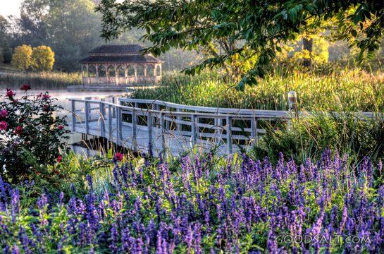 The Bridge