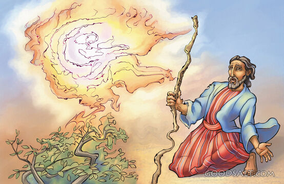 The Burning Bush 2