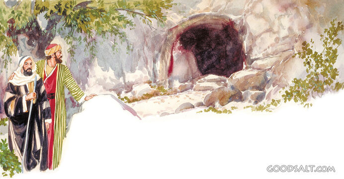 The Cave