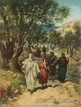 The Disciples Journey into Galilee