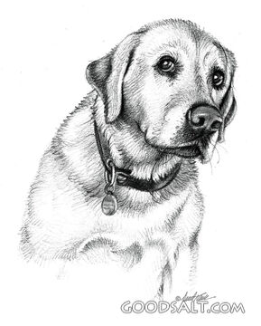 The Dog