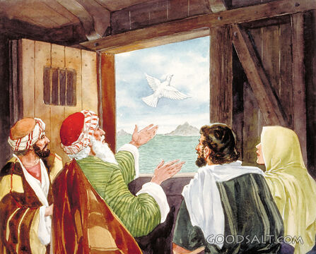 The Dove