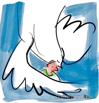 The Dove