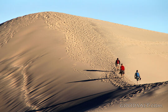The Dune