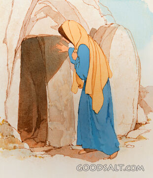 The Empty Tomb