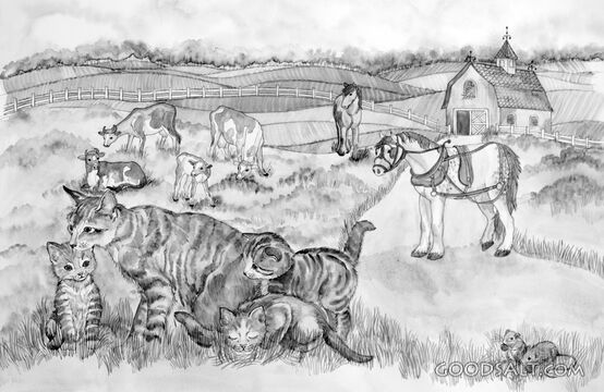 The Farm