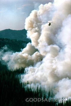 The Fire