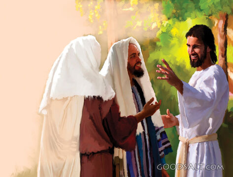 The Followers