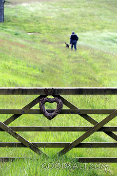 The Gate