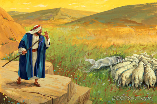 The Good Shepherd - a Wolf Attacks