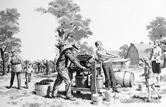 The Harvest