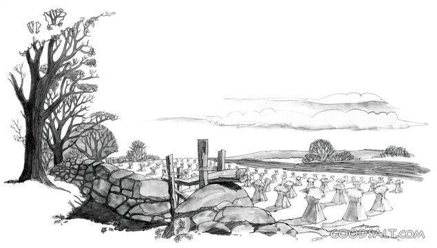 The Harvest