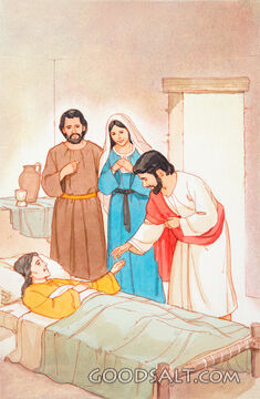 The Healing of Peter&#039;s Mother