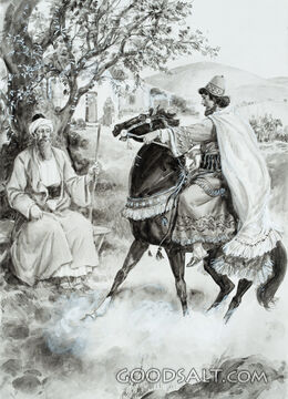 The King&#039;s Command