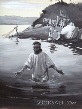 The Leper&#039;s Cure