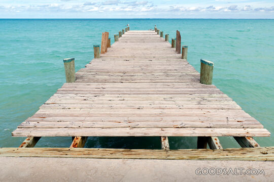 The Long Pier Looking Into the Future