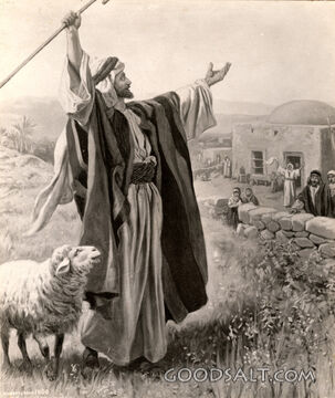 The Lost Sheep &amp; The Lost Coin