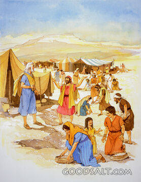 The Manna