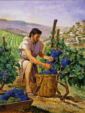 The Obedient Son