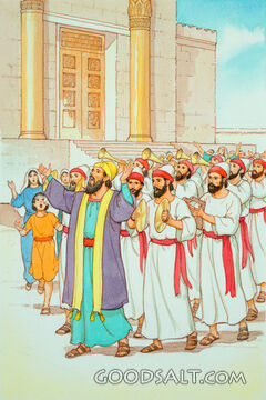 The Parade